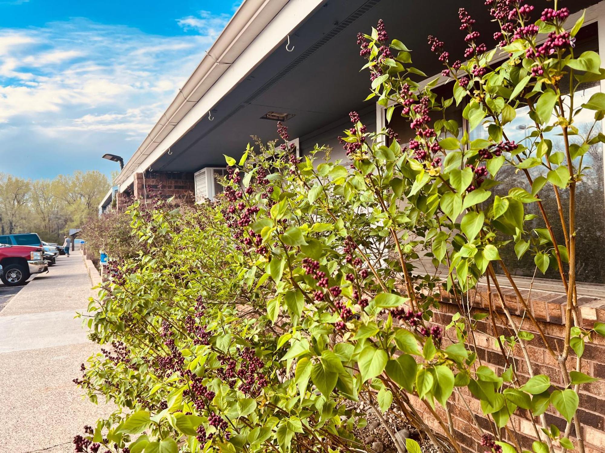 Travelodge By Wyndham Valleyfair Shakopee Exterior photo